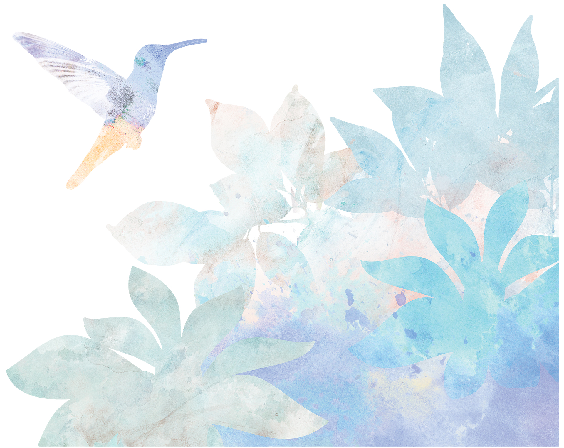 Wizualizacja turkusowy świt koliber